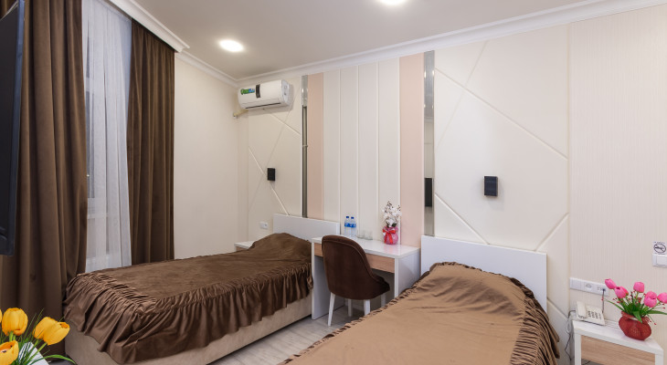 Standard Twin room