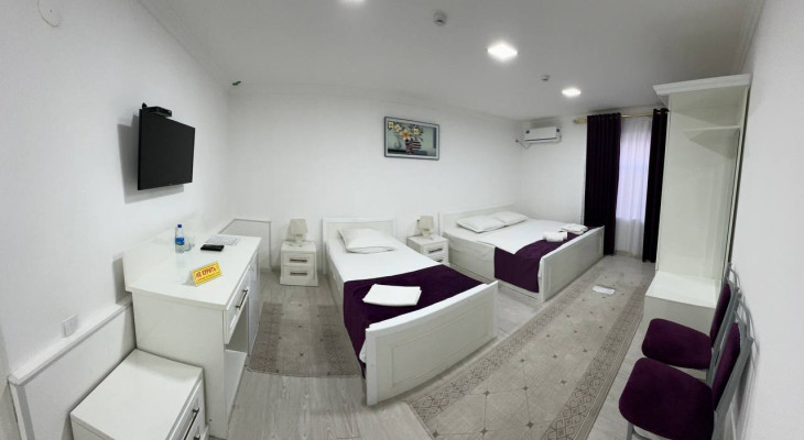 Deluxe Double or Twin Room