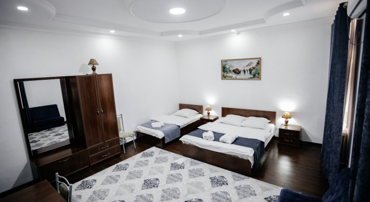 Deluxe Double or Twin Room