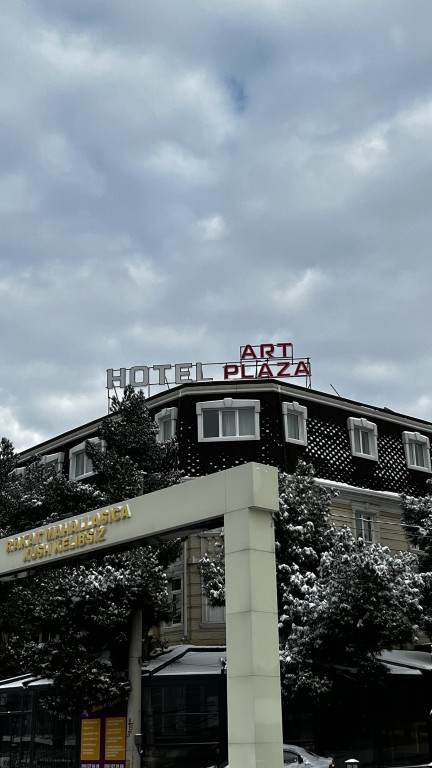 Гостиница Art Plaza