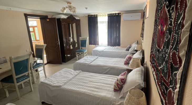 Single Bed in 6-Bed Shared Room