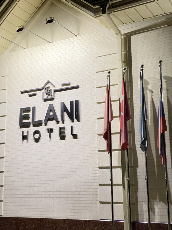 Гостевой дом  Elani