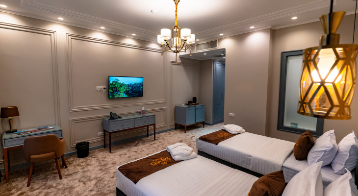 Deluxe Double or Twin Room