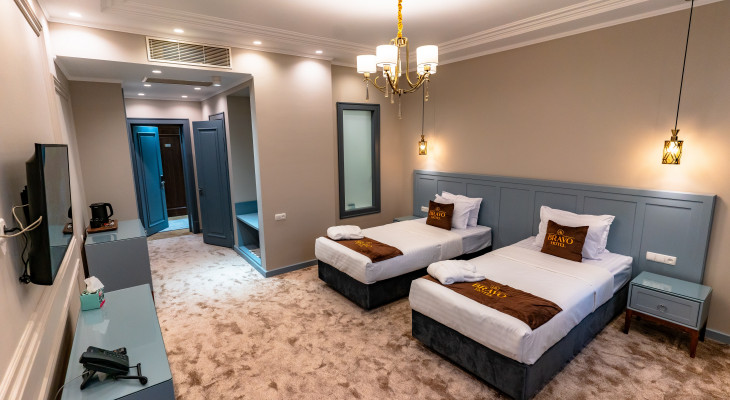 Deluxe Double or Twin Room
