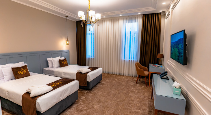 Deluxe Double or Twin Room