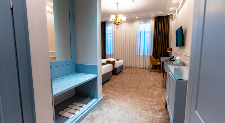 Deluxe Double or Twin Room