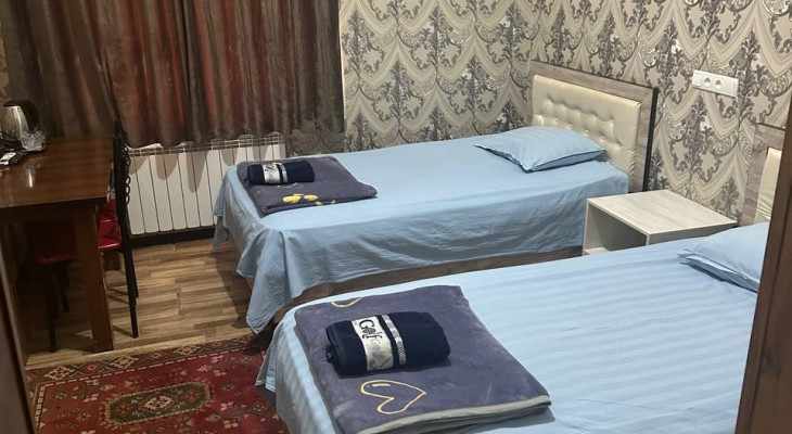 Deluxe Double or Twin Room