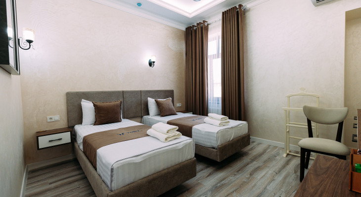 Deluxe Twin Room