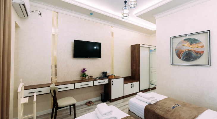 Deluxe Twin Room