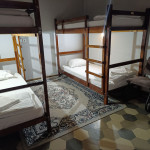 Single Bed in Female Shared Room