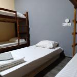 Single Bed in Female Shared Room
