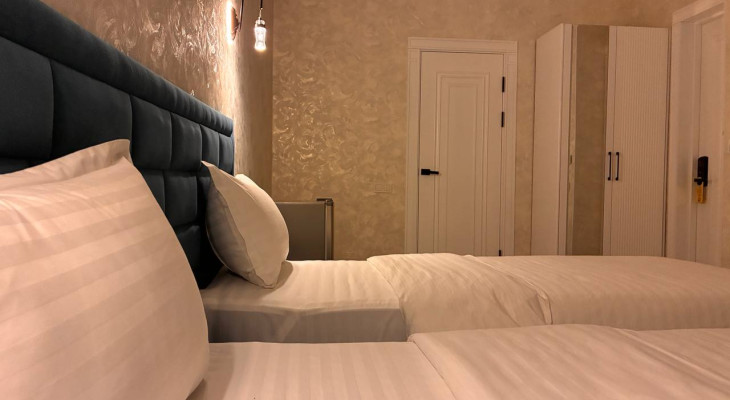Deluxe Double or Twin Room with balcony