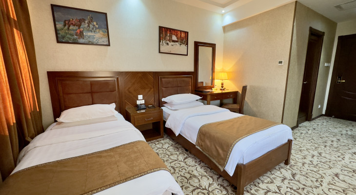 Deluxe Twin Room